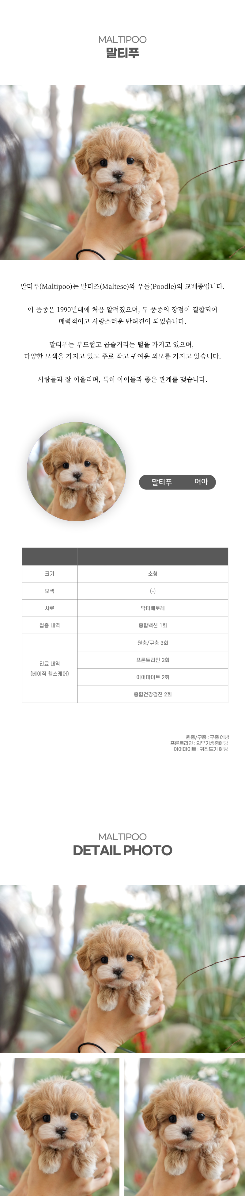 말티푸_상세이미지_2